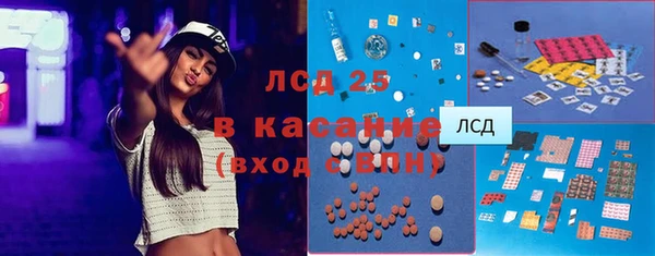 сатива Новокубанск