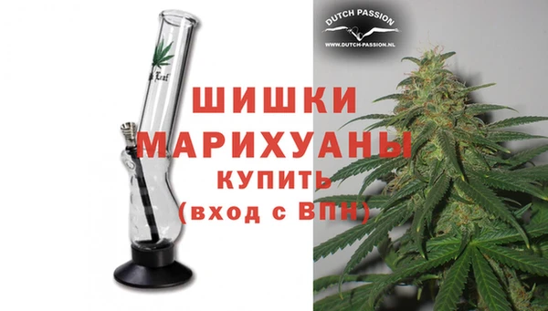 сатива Новокубанск