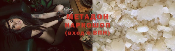 сатива Новокубанск