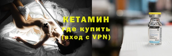 сатива Новокубанск