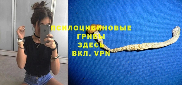 ALPHA-PVP Новозыбков