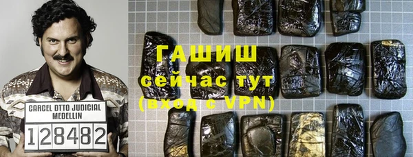 сатива Новокубанск