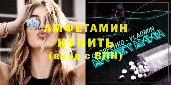 сатива Новокубанск