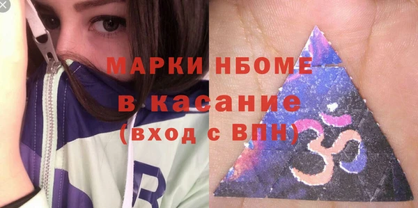 сатива Новокубанск