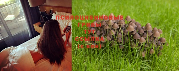 ALPHA-PVP Новозыбков