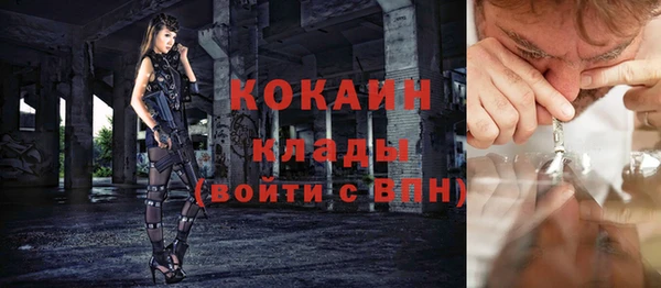 сатива Новокубанск