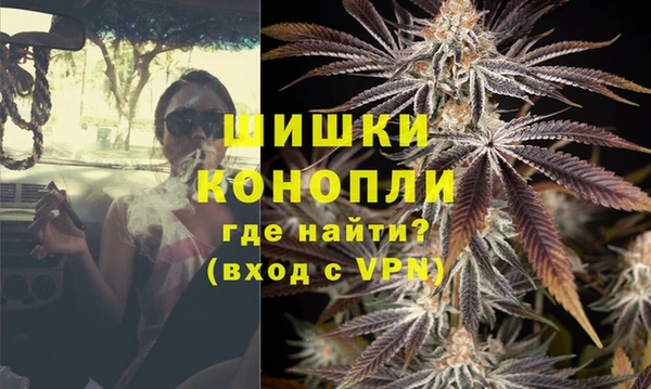 ALPHA-PVP Новозыбков