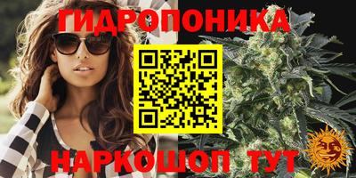 ПСИЛОЦИБИНОВЫЕ ГРИБЫ Абакан