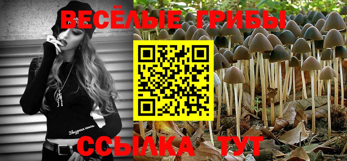 Псилоцибиновые грибы прущие грибы Нефтекамск