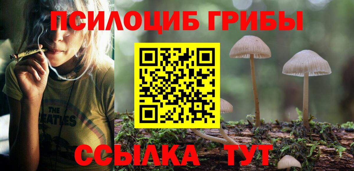 Галлюциногенные грибы Psilocybe Нефтекамск